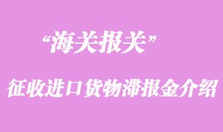 海關征收進口貨物滯報金介紹