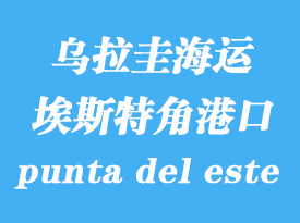 烏拉圭海運港口:埃斯特角(punta del este)港口