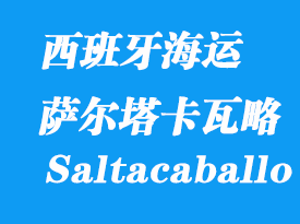 西班牙海運港口:薩爾塔卡瓦略(Punta Saltacaballo)港口