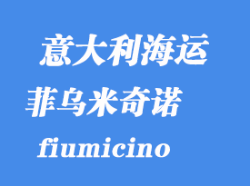 意大利海運港口:菲烏米奇諾(fiumicino)港口