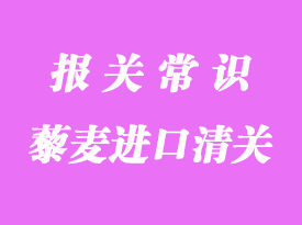 藜麥進(jìn)口清關(guān)經(jīng)驗(yàn)分享_上海代理藜麥進(jìn)口清關(guān)流程
