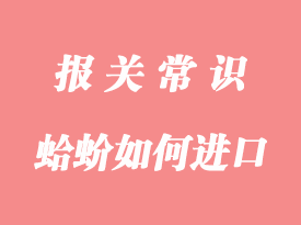 你們知道國外的蛤蚧如何進口報關(guān)到國內(nèi)嗎？